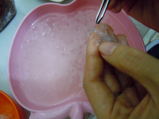 牛奶燕窝木瓜怎么炖,燕窝可以用牛奶炖吗