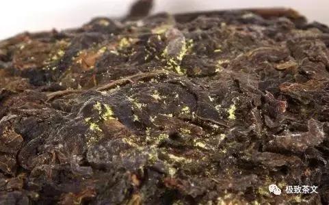 再加工茶的演变史,再加工茶的种类并简单说明