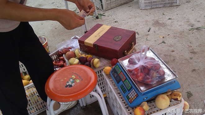 有什么又便宜又有面子的水果,农村这种水果一斤可卖百元