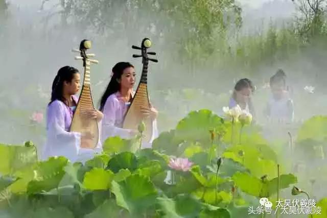 淮阳龙湖风景区荷花几月盛开,龙湖赏荷旅游月启幕