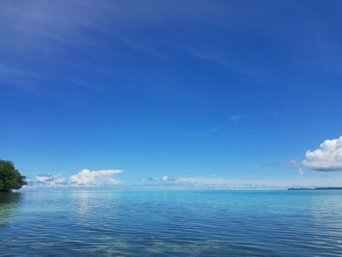 看鲨鱼，玩泥巴，看男人穿婚纱，带你看不一样的帕劳