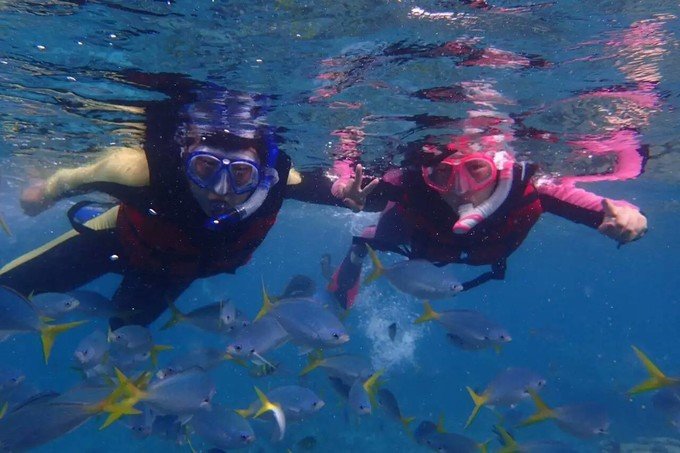 看鲨鱼，玩泥巴，看男人穿婚纱，带你看不一样的帕劳