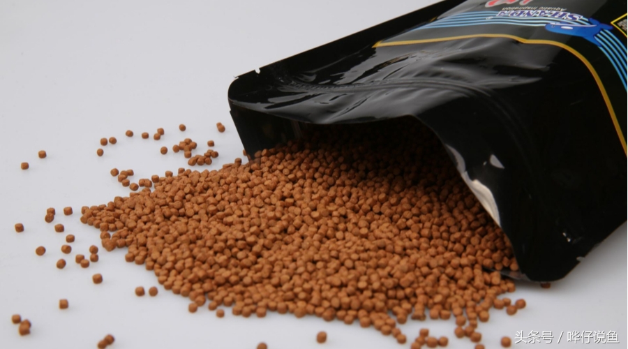 观赏鱼喂什么饲料最好,如何给鱼喂食的正确方法