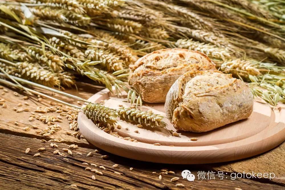 每天运动饮食食谱,运动饮食基础知识