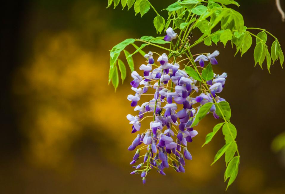 有一种岁月带给你的忧伤，因为你懂，所以，你泪流满面