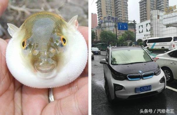 天上下着蒙蒙小雨，这宝马敞篷车挺有个性，披着1张破塑料纸就上路了
