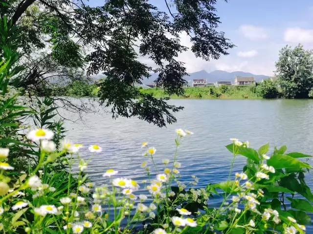 行走山水之间远离城市喧嚣,行走在浙江温州风景