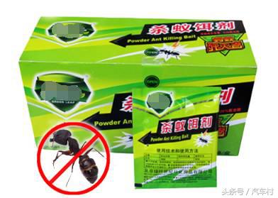 爱车被动物入侵怎么办,爱车遭小猫破坏