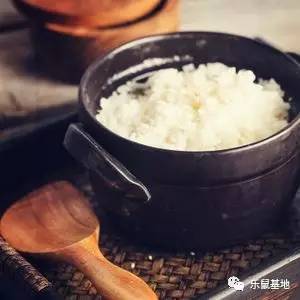 砂锅炖的菜为什么好吃,砂锅做什么菜好吃