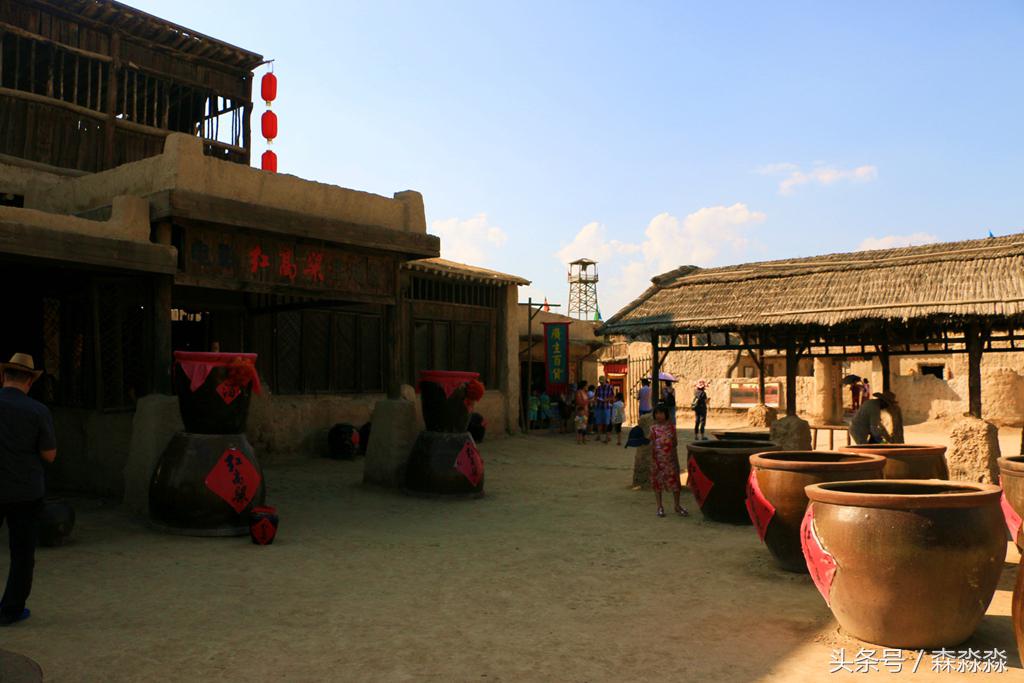 西部影视城一枝独秀,西部影视城荒凉