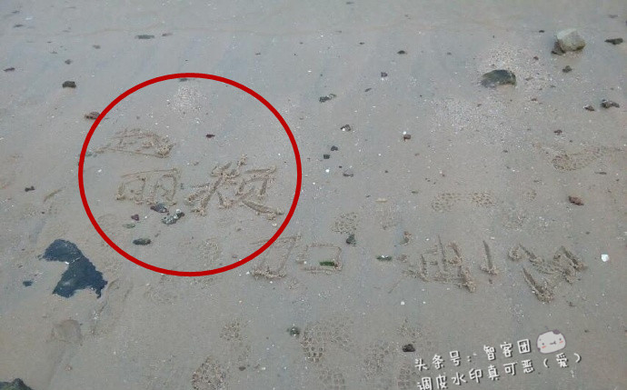 男粉丝不理酷暑，花1天在海边为赵丽颖堆爱心，被熊娃全部踩坏