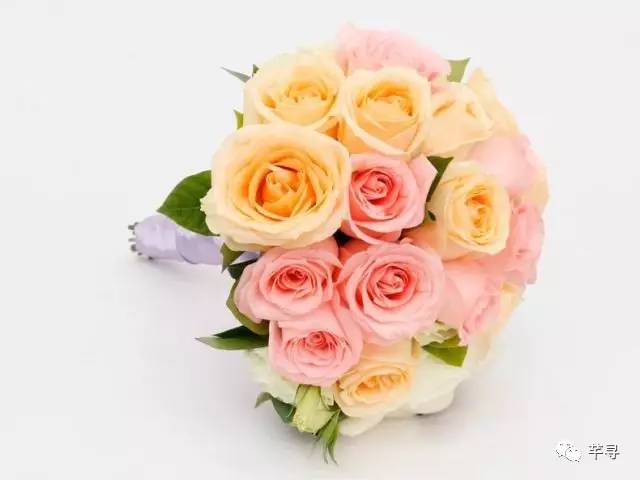 复古捧花品种,常见捧花品种