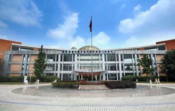 从幼升小到小升初,成都幼升小小学是自己选吗