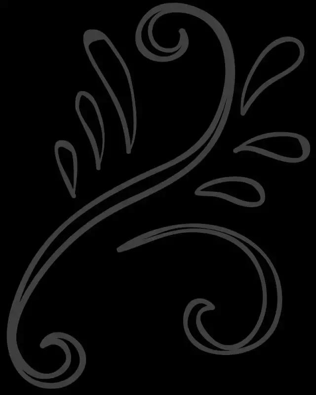 在长春花38元去米其林标准的餐厅吃饭是什么感觉？