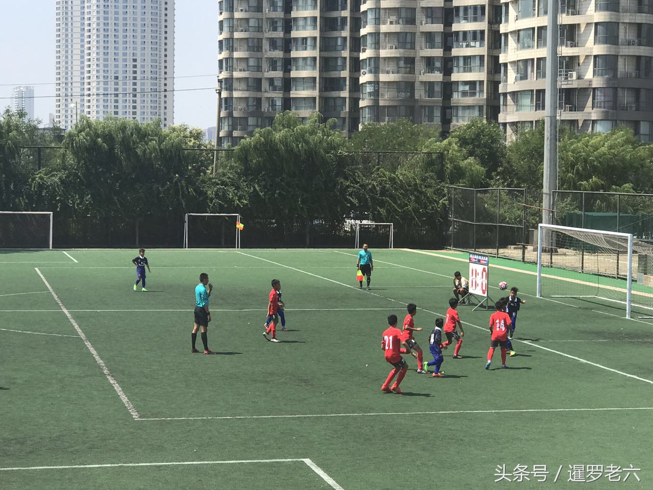 2017瀹嬪簡榫勬澂,2024瀹嬪簡榫勬澂鍙傝禌缁撴灉