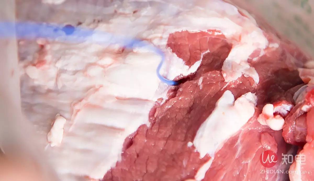 卡萨帝冰箱和西门子冰箱最新比较,卡萨帝和松下冰箱哪个好