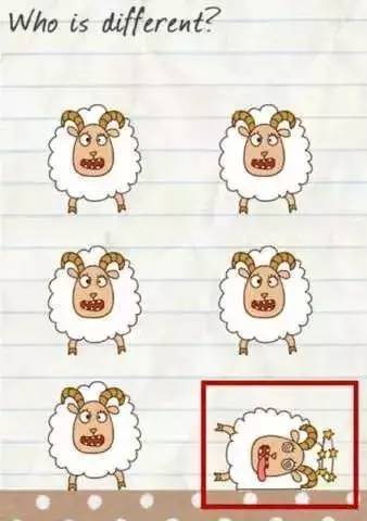 最囧游戏2是单机的吗,最囧游戏31到40关攻略