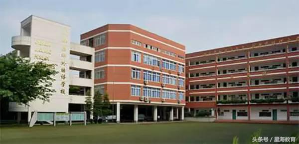 从幼升小到小升初,成都幼升小小学是自己选吗