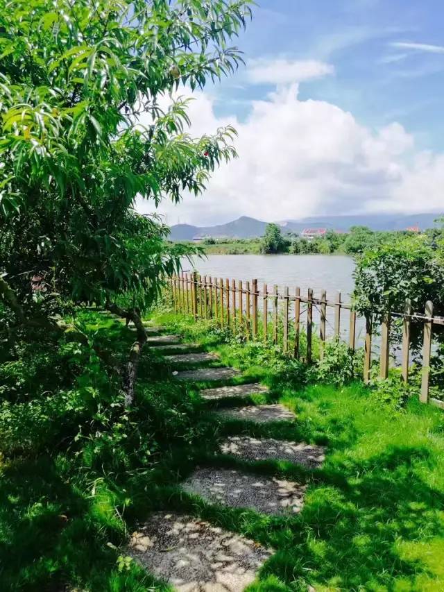 行走山水之间远离城市喧嚣,行走在浙江温州风景