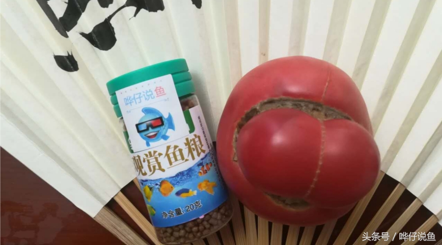 观赏鱼喂什么饲料最好,如何给鱼喂食的正确方法