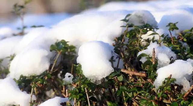 夏天必做的10件小事,夏季有五件事不宜做伤身