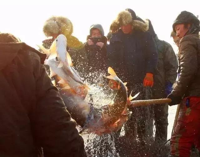 2017导游员考试必看导游词之「松原查干湖旅游度假区」