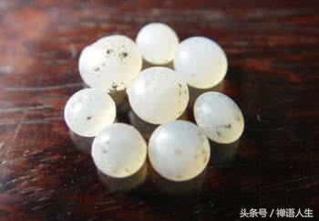 舍利子究竟是什么呢,舍利子到底是什么东西