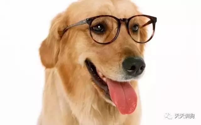 狂犬病最有意义的早期诊断是,狂犬病权威说法