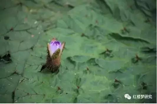 中国奇怪的名字,一些奇怪的名字