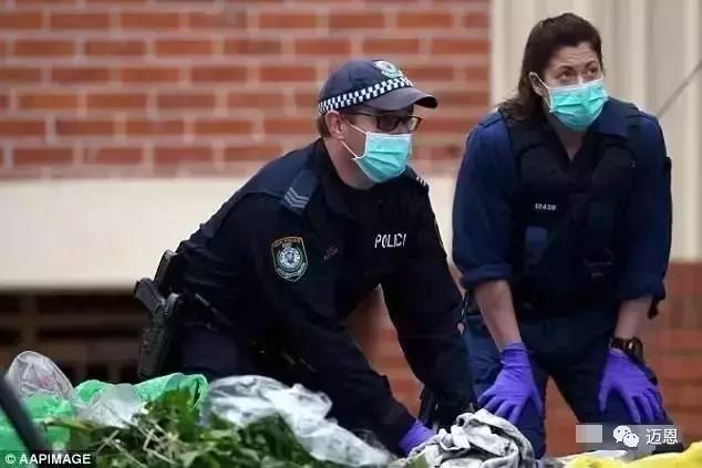 澳洲身份证即将出炉！植入芯片，黑户，恐怖分子无处可藏！