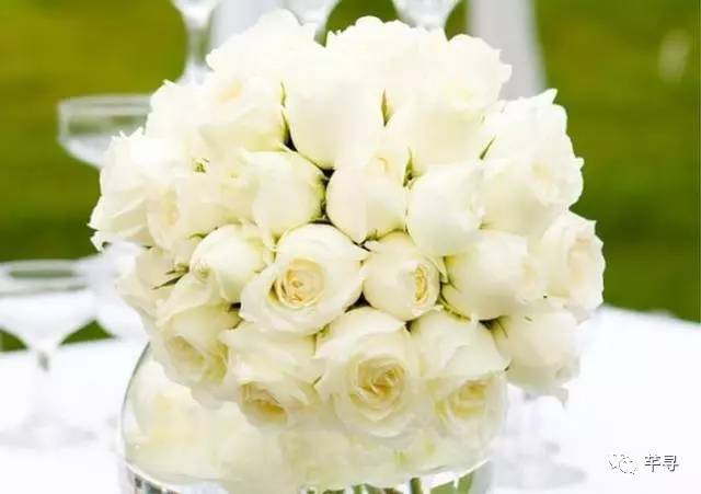 复古捧花品种,常见捧花品种