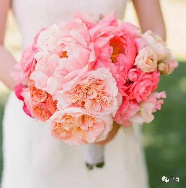 复古捧花品种,常见捧花品种