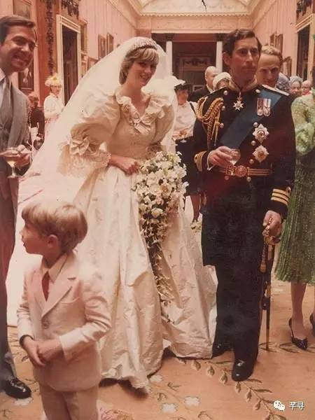 复古捧花品种,常见捧花品种