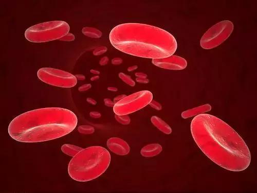 血小板低身上有淤青是白血病吗,淤青出血点血小板高是白血病吗