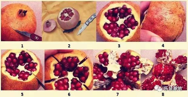 即将收获的石榴既美观又美味,又大又红的石榴真好吃