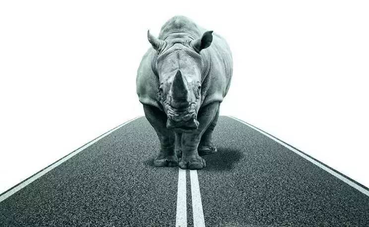 黑天鹅与灰犀牛的含义,黑天鹅和灰犀牛经济学