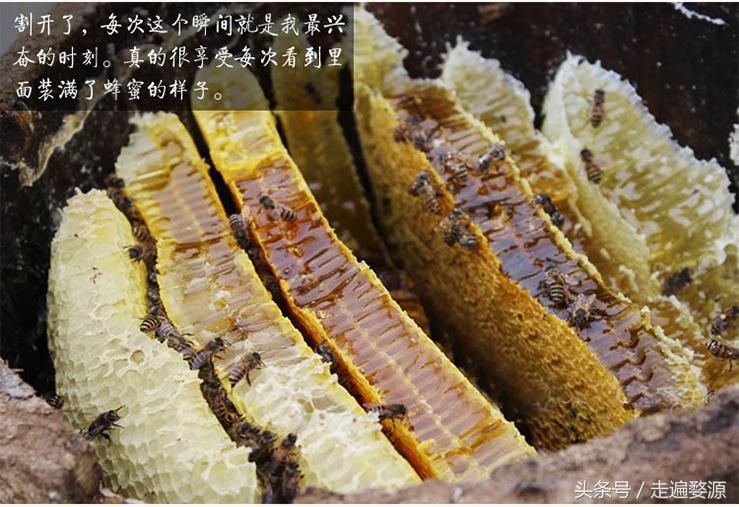 婺源千年茶乡,中国最美乡村婺源有什么美食