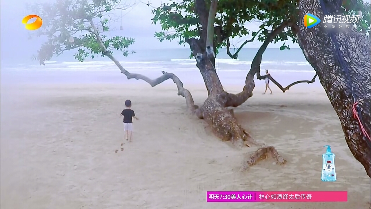 赵薇黄晓明开中餐厅爆笑斗嘴,中餐厅第三季赵薇叫小胖子