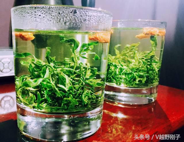 「影射华夏上」天下黄河富宁夏，初体验！