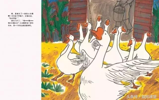 在动物园如何给孩子科普动物知识,7-12岁儿童动物世界科普