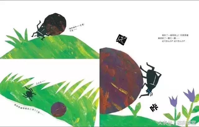 在动物园如何给孩子科普动物知识,7-12岁儿童动物世界科普