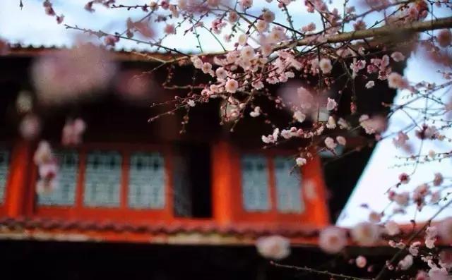 七情六欲是哪七情哪六欲具体解释,七情六欲是哪七情哪六欲图片