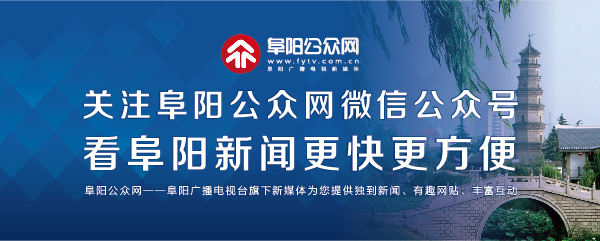 暴雨后车牌丢失去哪里找,暴雨过后车牌丢了怎么补