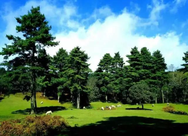 昆明超全的夏天避暑攻略,昆明古滇有趣的夏天避暑特点