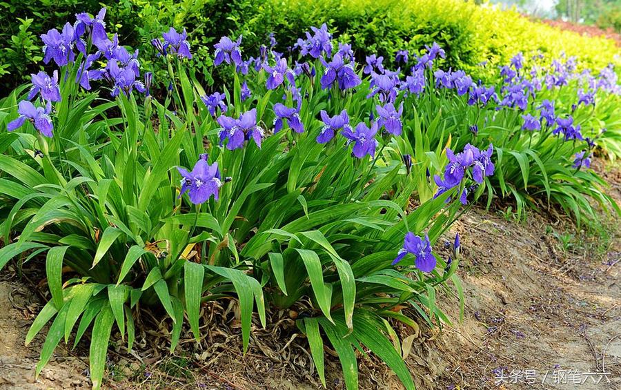 把钢笔改导致复古钢笔,钢笔是怎么设计出来的