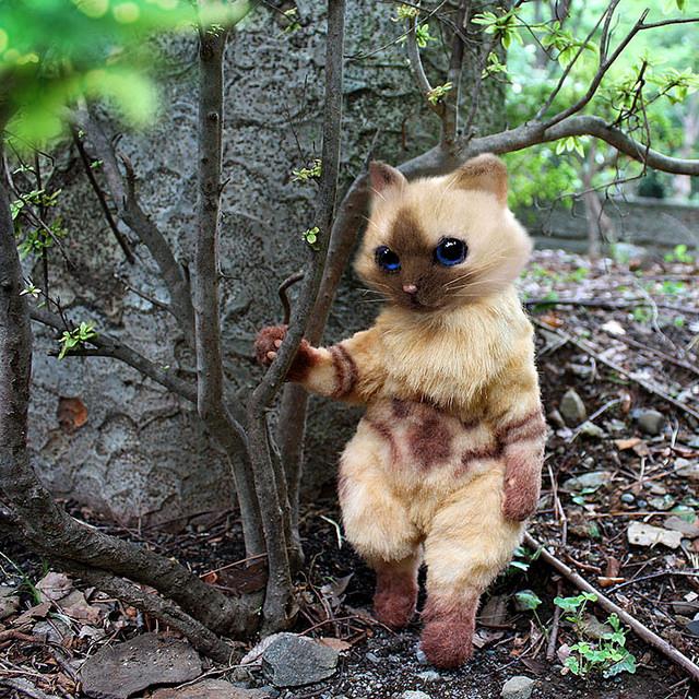 艾露猫怪物猎人,怪物猎人艾露猫真人