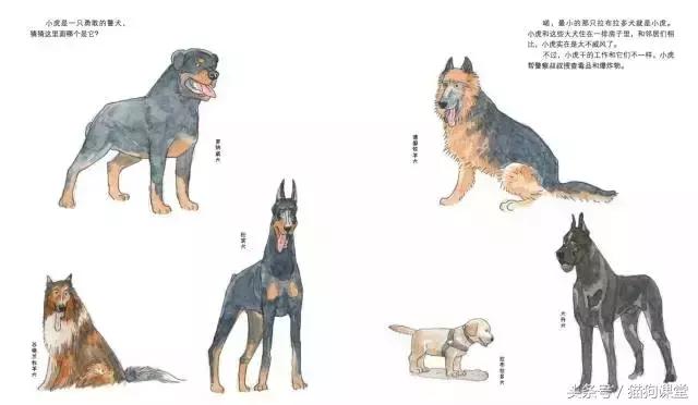 在动物园如何给孩子科普动物知识,7-12岁儿童动物世界科普