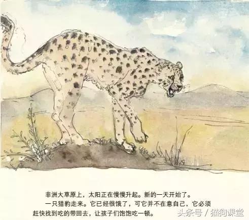 在动物园如何给孩子科普动物知识,7-12岁儿童动物世界科普