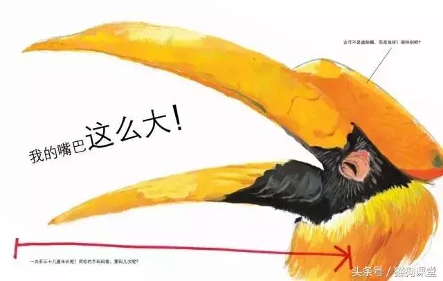 在动物园如何给孩子科普动物知识,7-12岁儿童动物世界科普