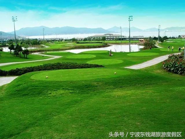 学高尔夫专业怎么样,学高尔夫简单吗